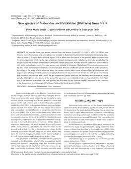 New Species of Blaberidae and Ectobiidae (Blattaria) from Brazil