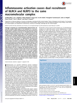 Inflammasome Activation Causes Dual Recruitment of NLRC4 and NLRP3 to the Same Macromolecular Complex