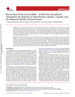 Brown Bear (Ursus Arctos) (9880 ± 35 BP) from Late-Glacial Champlain Sea Deposits at Saint-Nicolas, Quebec, Canada, and the Dispersal History of Brown Bears C