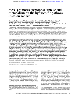 MYC Promotes Tryptophan Uptake and Metabolism by the Kynurenine Pathway in Colon Cancer