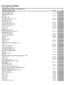 Investment Portfolio