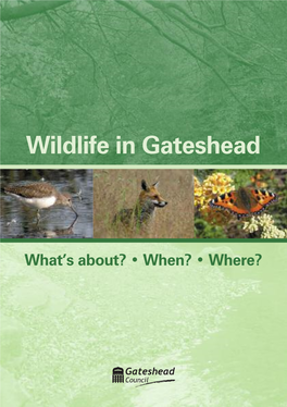 Wildlife in Gateshead