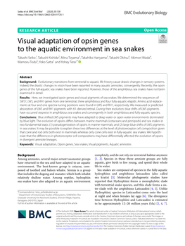 Visual Adaptation of Opsin Genes to the Aquatic Environment in Sea Snakes