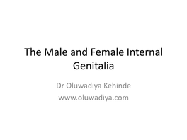 The Male and Female Internal Genitalia