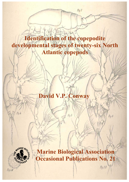 Identification of the Copepodite Stages of Some Common Calanoid Copepods