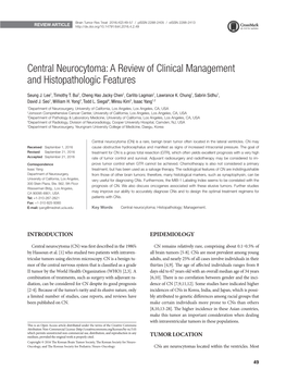 Central Neurocytoma: a Review of Clinical Management and Histopathologic Features