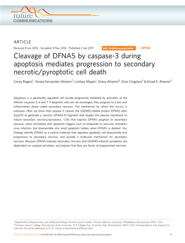 Cleavage of DFNA5 by Caspase-3 During Apoptosis Mediates Progression to Secondary Necrotic/Pyroptotic Cell Death