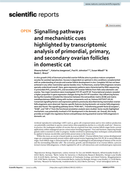 Signalling Pathways and Mechanistic Cues Highlighted by Transcriptomic