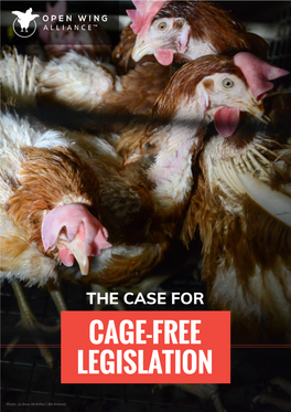 CAGE-FREE LEGISLATION the Welfare of Laying Hens in the EU 1 Photo: Jo-Anne Mcarthur | We Animals SUMMARY