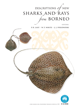 Descriptions of New Sharks and Rays of Borneo