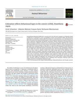 Coloration Reflects Behavioural Types in the Convict Cichlid