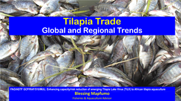 Tilapia Trade (Global and Regional Trends)