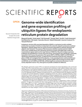 Genome-Wide Identification and Gene Expression Profiling of Ubiquitin