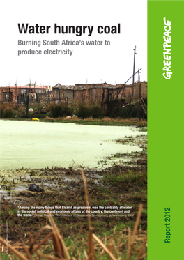 Water Hungry Coal: Burning South Africa's Water to Produce Electricity