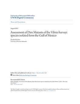 Assessment of Dim Mutants of the Vibrio Harveyi Species Isolated from the Gulf of Mexico Elizabeth Bolton University of Wisconsin-Milwaukee