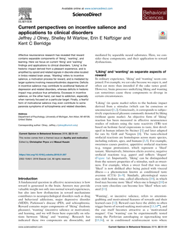 Current Perspectives on Incentive Salience and Applications to Clinical