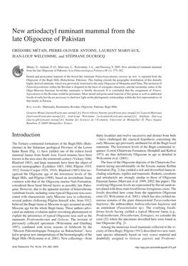 New Artiodactyl Ruminant Mammal from the Late Oligocene of Pakistan