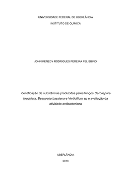 Identificação De Substâncias Produzidas Pelos Fungos Cercospora Brachiata, Beauveria Bassiana E Verticillium Sp E Avaliação Da Atividade Antibacteriana