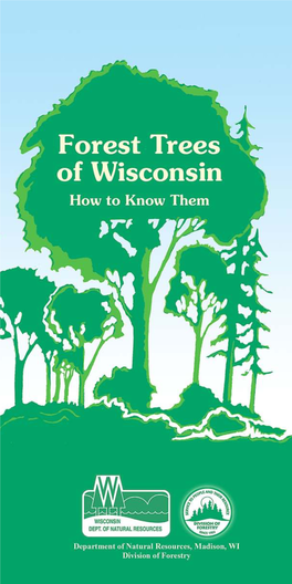 Forest Trees of Wisconsin How to Know Them