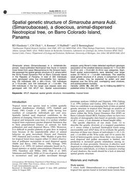 Spatial Genetic Structure of Simarouba Amara Aubl. (Simaroubaceae), a Dioecious, Animal-Dispersed Neotropical Tree, on Barro Colorado Island, Panama