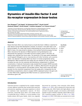 Dynamics of Insulin-Like Factor 3 and Its Receptor Expression in Boar Testes