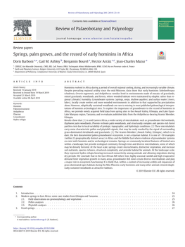 Springs, Palm Groves, and the Record of Early Hominins in Africa