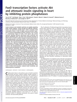 Foxo Transcription Factors Activate Akt and Attenuate Insulin Signaling in Heart by Inhibiting Protein Phosphatases