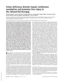 Folate Deficiency Disturbs Hepatic Methionine Metabolism and Promotes Liver Injury in the Ethanol-Fed Micropig