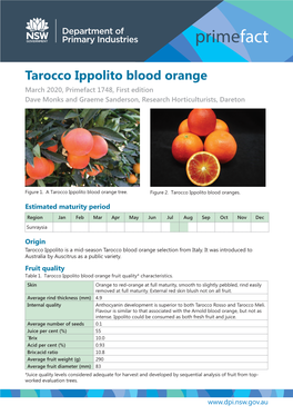 Tarocco Ippolito Blood Orange March 2020, Primefact 1748, First Edition Dave Monks and Graeme Sanderson, Research Horticulturists, Dareton