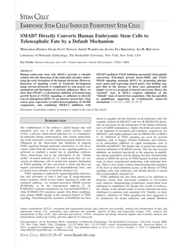 SMAD7 Directly Converts Human Embryonic Stem Cells to Telencephalic Fate by a Default Mechanism