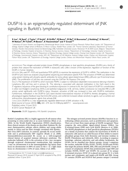 DUSP16 Is an Epigenetically Regulated Determinant of JNK Signalling in Burkitt&Apos