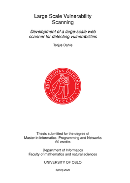 Large Scale Vulnerability Scanning