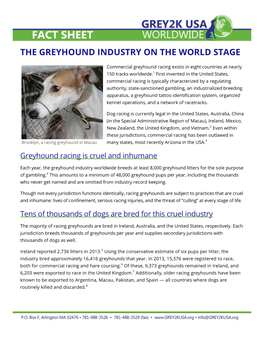 The Greyhound Industry on the World Stage