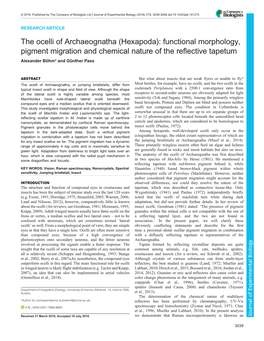 The Ocelli of Archaeognatha (Hexapoda): Functional Morphology, Pigment Migration and Chemical Nature of the Reflective Tapetum Alexander Böhm* and Günther Pass