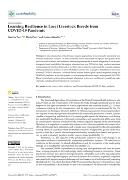 Learning Resilience in Local Livestock Breeds from COVID-19 Pandemic