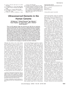 Ultraconserved Elements in the Human Genome