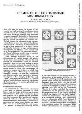 Elements of Chromosome Abnormalities N