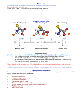 Chem331 Lect 4 Amino Acids Peptides