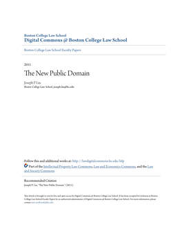 The New Public Domain