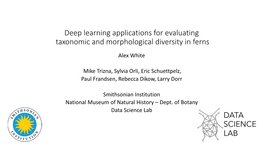 Deep Learning Applications for Evaluating Taxonomic and Morphological Diversity in Ferns