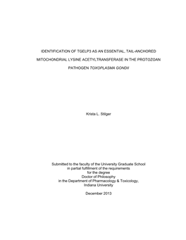 Identification of Tgelp3 As an Essential, Tail-Anchored Mitochondrial Lysine Acetyltransferase in the Protozoan Pathogen Toxoplasma Gondii