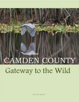 Gateway to the Wild