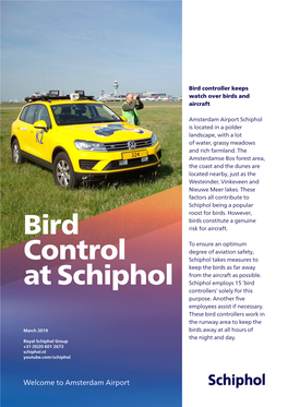 Bird Control at Schiphol