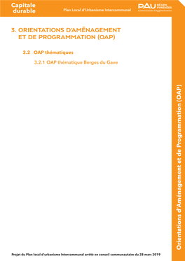 3.2.1-OAP-Berges-Du-Gave-Arret.Pdf