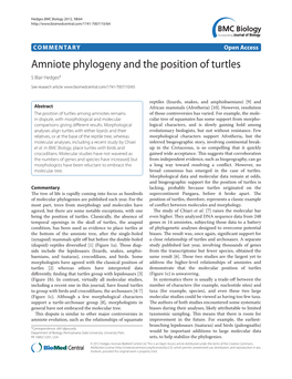 Amniote Phylogeny and the Position of Turtles S Blair Hedges*