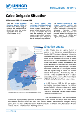 Cabo Delgado Situation