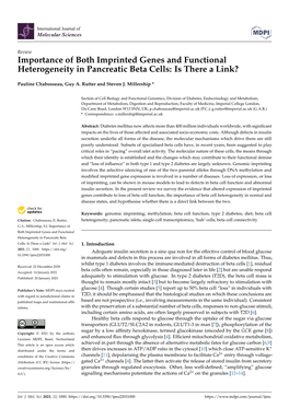 Importance of Both Imprinted Genes and Functional Heterogeneity in Pancreatic Beta Cells: Is There a Link?