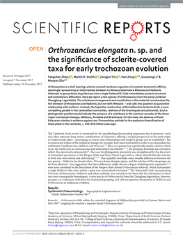 Orthrozanclus Elongata N. Sp. and the Significance of Sclerite-Covered Taxa