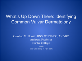 What's up Down There: Identifying Common Vulvar Dermatology