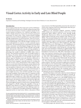 Visual Cortex Activity in Early and Late Blind People